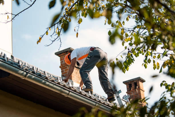 Best Roof Leak Repair  in St Marys, WV
