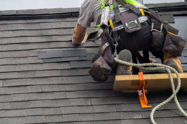 Best Roof Gutter Cleaning  in St Marys, WV